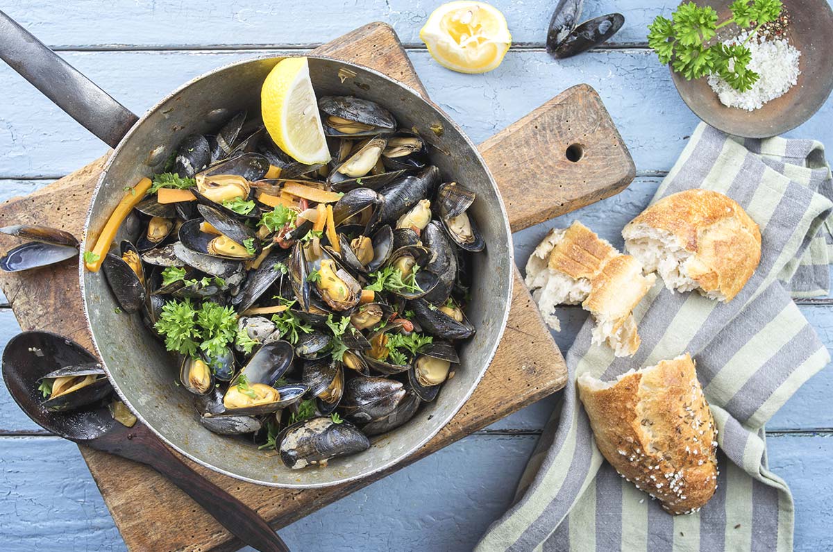 How to make a blog using WordPress